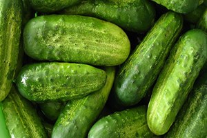 Antalyalı Üreticilerin Rusya Endişesi