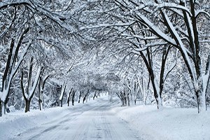 Fındık Üreticileri Kar Yağışına Umut Bağladı