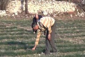 Tokatlı Girişimci Fiyatını Duyunca Safran Üreticisi Oldu