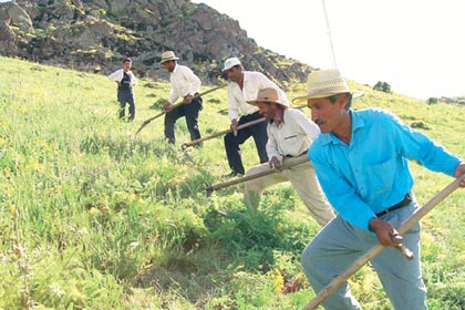 Tarım Reformu Paketi 2016 ya Kaldı