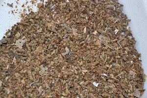 Arılardan Kilosu 300 Liralık Antioksidan