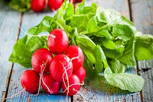 Turp Çiftçisi Kuraklıktan Endişeli