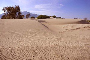 Yanlış Tarım Teknikleri Kullanılarak Erozyona İnsan Eliyle Hız Veriliyor