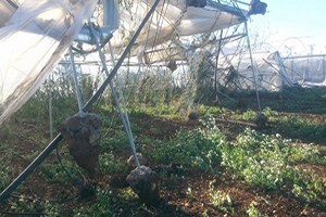 Fırtınada Serası Yerle Bir Oldu