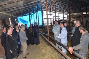 Kadınlar Çobanlık Mesleğine Renk Katacak