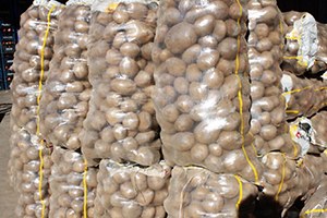 Patates Fiyatları Düştü Stok Başladı