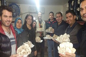 Tarsus Belediyesi nden İstiridye Mantarı Yetiştiriciliği Kursu