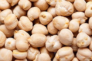 Kırıkkale de Çiftçilere Tohumluk Nohut Dağıtıldı