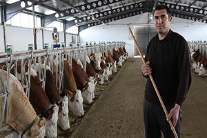 Çobanlıktan Patronluğa