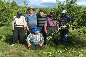 Limon Agaclari Nda Budama Egitimi Haberler Tarim Com Tr