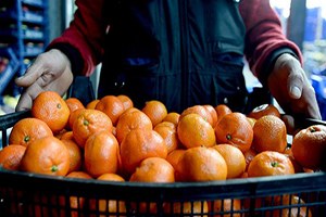 Sebze Meyve İhracatında Rusya ya Mahkum Değiliz