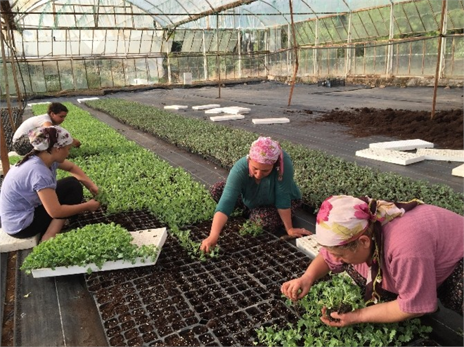 Alım Garantili Üretime Kadın Eli Değdi