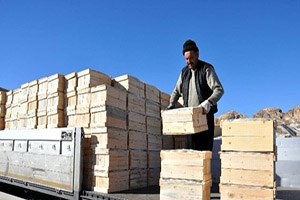 Rusya nın Türkiye den Başka Bir Ülkeden Limon Alma Şansı Yok