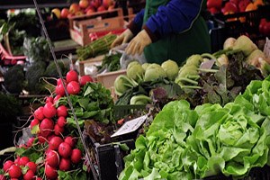 Alman Çiftçiler Rusya nın Yaptırımları Yüzünden İflasın Eşiğinde