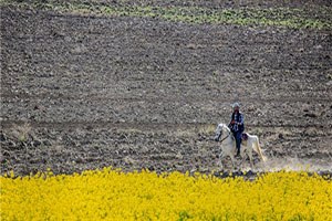 Düzce ye Tarımsal Yayım ve Danışmanlık Desteği