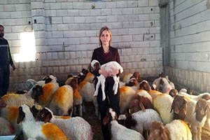 Üreticiye 880 Bin TL Ödeme Yapıldı