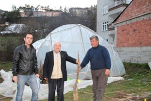 Küre de Ceviz Fidanları Dağıtıldı