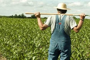 İyi Tarım Uygulamaları Destekleme Ödemeleri İçin 17 Mart a Kadar Süre