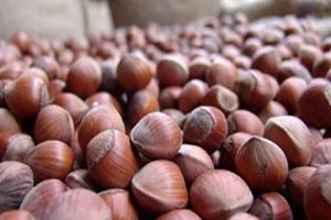 Alan Bazlı Gelir Desteği Ödeme İcmalleri Askıda