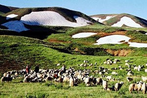 Erzurum da Meralar Kiraya Verilecek