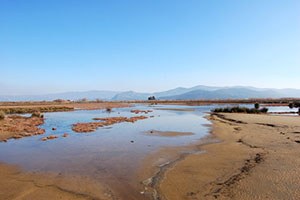 Sulak Alanlarımız Hızla Yok Oluyor