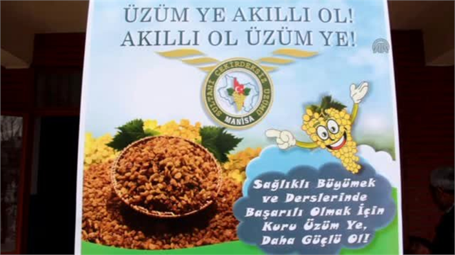 Okul Üzümü Akıl Üzümü Projesi
