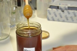 Yrd Doç Dr Öztürk Bal Antibiyotik Dirençli Bakteriler Üzerinde Etkili