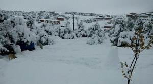 Tarımda Zirai Don Uyarısı