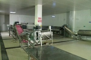 Tkdk dan Su Ürünlerine Büyük Destek