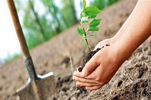 İzmir Kuş Cenneti ne 4 bin fidan