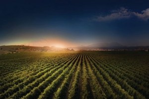 Huawei den Türk Tarımına Bilişim Desteği