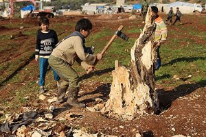 Suriye de Tarım Durma Noktasında