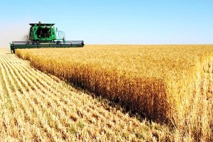 2015 Çiftçiler İçin Verimli Geçecek