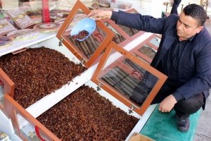 Okullarda Peygamber Üzümü Dağıtılsın Talebi