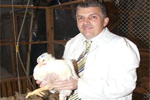 Türkiye de Organik ve Hormonlu Tavuk Eti Yok