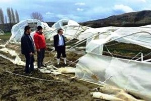 Tekirdağ da Lodos Seralara Hasar Verdi