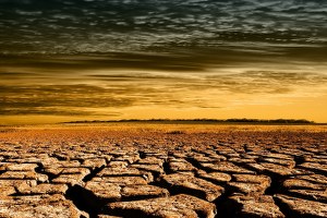 Madagaskar daki Kuraklık Göçlerin Başlamasına Neden Oldu