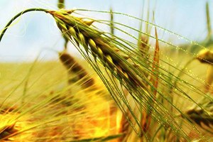 Tarıma Değer Katanlar yarışmasına başvurular başladı