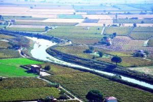Türkiye de Tarımsal Poliçe Rekoru Manisa da Kırıldı
