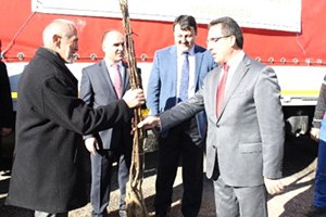 Kastamonu da 18 Bin Ceviz Fidanı Dağıtıldı