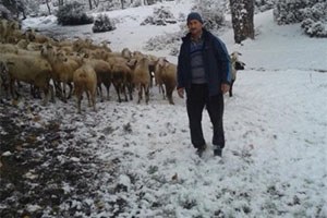 Milas ta Hayvan Hırsızlarına Kameralı Çözüm