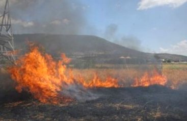 Tosya da Arazi Yangını