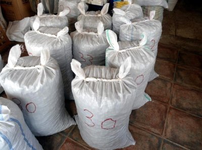 Datça Çağla Bademi Avrupa Pazarında