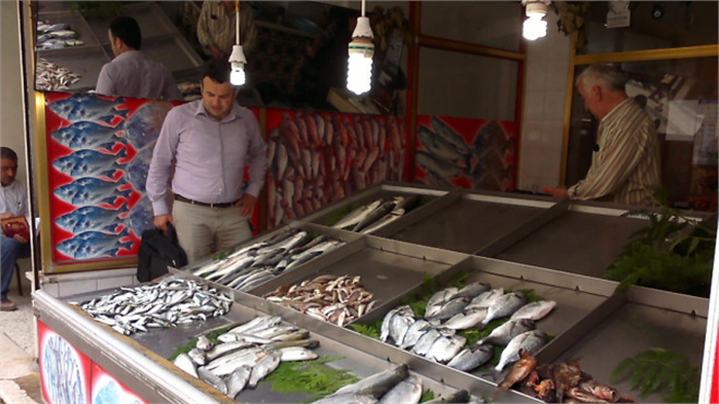 Fatsa da Su Ürünleri Av Yasakları
