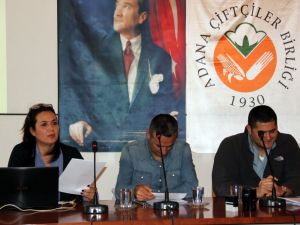 Adana ya Turunçgil Parkı Kurulacak