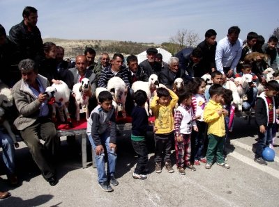 Kuzu Yarışması İçin Müracaatlar Başladı