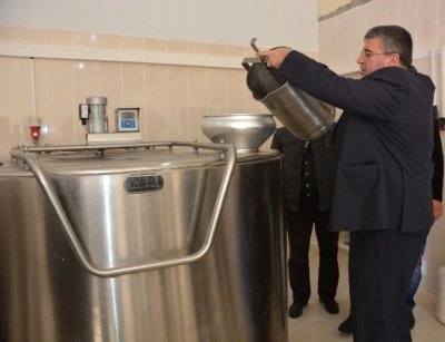 Yunusemre Yuntdağı nda Süt Toplama Merkezleri Oluşturdu