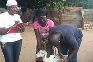 SenDeGel Küçükbaş Hayvancılık Projesi