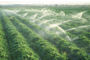 Malatya da Zirai Mücadele Çalışmaları