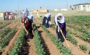 Gercüş te Çiftçilere Hibeli Malzeme Yardımı